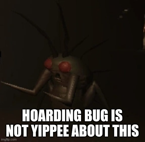 hoarding bug | HOARDING BUG IS NOT YIPPEE ABOUT THIS | image tagged in hoarding bug | made w/ Imgflip meme maker