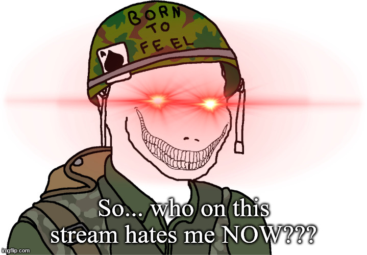USA Vietnam War wojak | So... who on this stream hates me NOW??? | image tagged in usa vietnam war wojak | made w/ Imgflip meme maker