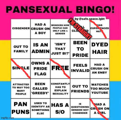 i'm straight. | I'M STRAIGHT | image tagged in pansexual bingo | made w/ Imgflip meme maker