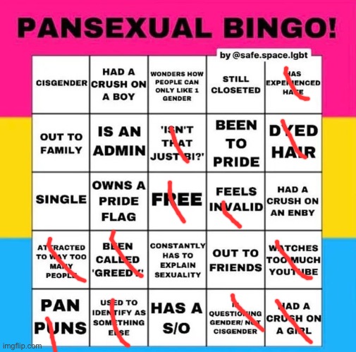 Pansexual Bingo | image tagged in pansexual bingo | made w/ Imgflip meme maker