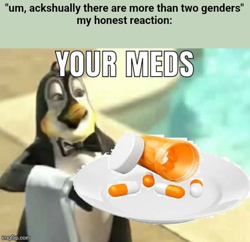 your meds | "um, ackshually there are more than two genders"
my honest reaction: | image tagged in your meds | made w/ Imgflip meme maker