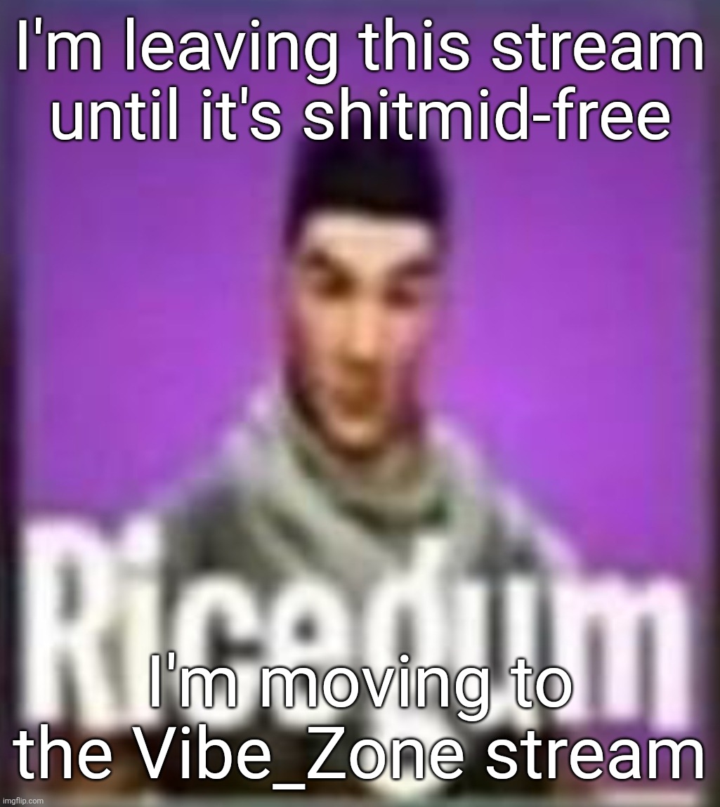 Bye for now | I'm leaving this stream until it's shitmid-free; I'm moving to the Vibe_Zone stream | image tagged in ricegum | made w/ Imgflip meme maker