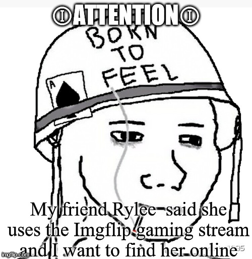 Because that would be cool | ⒾATTENTIONⒾ; My friend Rylee  said she uses the Imgflip gaming stream and I want to find her online | image tagged in war wojak | made w/ Imgflip meme maker