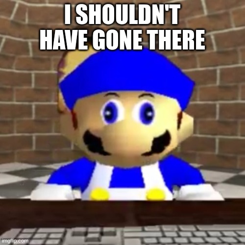 Smg4 derp | I SHOULDN'T HAVE GONE THERE | image tagged in smg4 derp | made w/ Imgflip meme maker