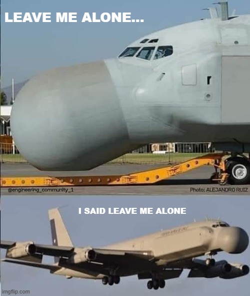 LEAVE ME ALONE... I SAID LEAVE ME ALONE | image tagged in funny picture,funny | made w/ Imgflip meme maker