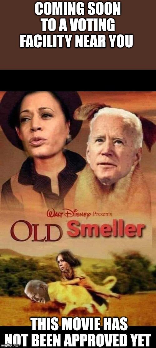 COMING SOON TO A VOTING FACILITY NEAR YOU; THIS MOVIE HAS NOT BEEN APPROVED YET | image tagged in movie poster | made w/ Imgflip meme maker