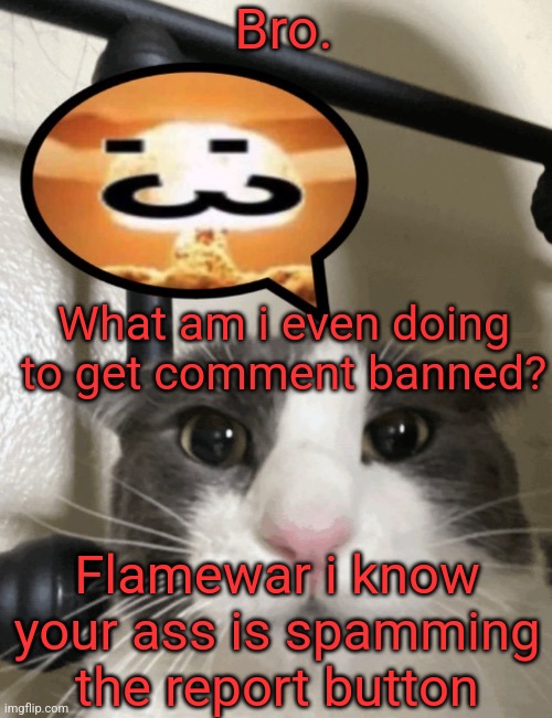 Bro. What am i even doing to get comment banned? Flamewar i know your ass is spamming the report button | made w/ Imgflip meme maker