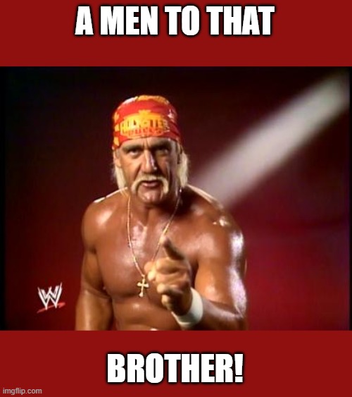 A MEN TO THAT BROTHER! | image tagged in hulk hogan | made w/ Imgflip meme maker