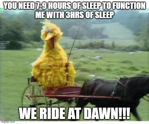 we ride at dawn! big bird | YOU NEED 7-9 HOURS OF SLEEP TO FUNCTION
ME WITH 3HRS OF SLEEP; WE RIDE AT DAWN!!! | image tagged in big bird in carriage | made w/ Imgflip meme maker