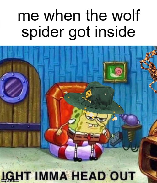 d e a r   g o d | me when the wolf spider got inside | image tagged in memes,spongebob ight imma head out,spider,offensive,funny,meanwhile in australia | made w/ Imgflip meme maker