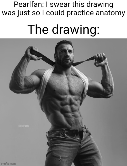 Elaborate | Pearlfan: I swear this drawing was just so I could practice anatomy The drawing: | image tagged in elaborate | made w/ Imgflip meme maker