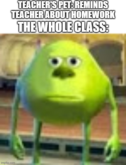 Sully Wazowski | TEACHER'S PET: REMINDS TEACHER ABOUT HOMEWORK; THE WHOLE CLASS: | image tagged in sully wazowski | made w/ Imgflip meme maker