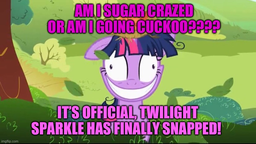 Twilight Going Crazy: Lesson Zero | AM I SUGAR CRAZED OR AM I GOING CUCKOO???? IT’S OFFICIAL, TWILIGHT SPARKLE HAS FINALLY SNAPPED! | image tagged in twilight sparkle,my little pony,friendship,crazy eyes,sugar rush,silly | made w/ Imgflip meme maker