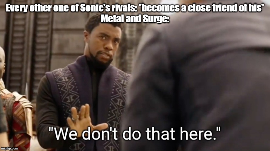 We don't do that here | Every other one of Sonic's rivals: *becomes a close friend of his*
Metal and Surge: | image tagged in we don't do that here,sonic | made w/ Imgflip meme maker