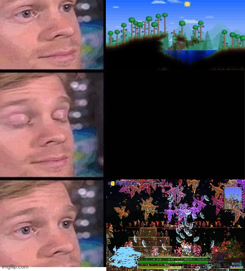 Chaos.. Glorified chaos.. | image tagged in blinking guy vertical blank,terraria,memes,funny,video games | made w/ Imgflip meme maker