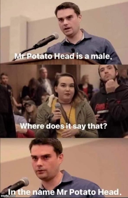 MISTER Potato Head ! | image tagged in mr potato head | made w/ Imgflip meme maker