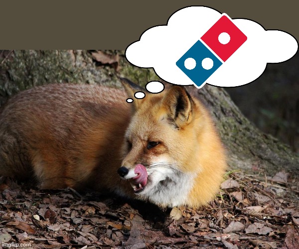 What foxes are thinking about | image tagged in fox,facts | made w/ Imgflip meme maker
