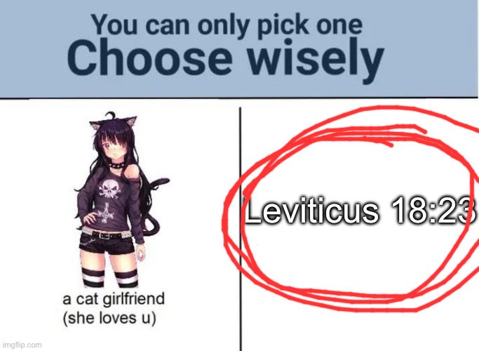 Read it guys. | Leviticus 18:23 | image tagged in choose wisely | made w/ Imgflip meme maker