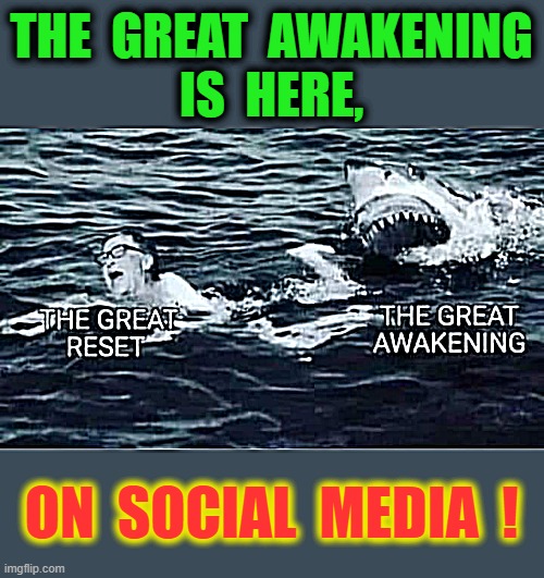 The Great Awakening ! | THE  GREAT  AWAKENING
IS  HERE, ON  SOCIAL  MEDIA  ! | image tagged in social media | made w/ Imgflip meme maker