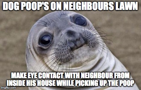 Awkward Moment Sealion Meme | DOG POOP'S ON NEIGHBOURS LAWN MAKE EYE CONTACT WITH NEIGHBOUR FROM INSIDE HIS HOUSE WHILE PICKING UP THE POOP | image tagged in awkward seal | made w/ Imgflip meme maker