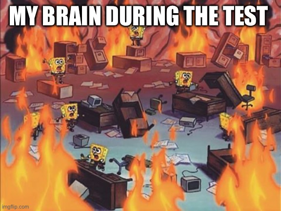 SpongeBob brain 1 | MY BRAIN DURING THE TEST | image tagged in spongebob brain | made w/ Imgflip meme maker