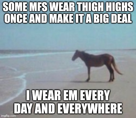 Horse on Beach Man | SOME MFS WEAR THIGH HIGHS ONCE AND MAKE IT A BIG DEAL; I WEAR EM EVERY DAY AND EVERYWHERE | image tagged in horse on beach man | made w/ Imgflip meme maker