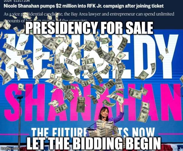 Corruption in politics | PRESIDENCY FOR SALE; LET THE BIDDING BEGIN | image tagged in jfk jr,campaigning,3rd party nut case | made w/ Imgflip meme maker