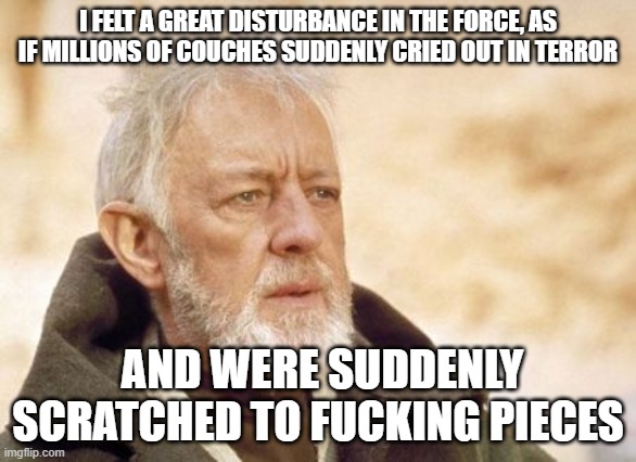 Obi Wan Kenobi Meme | I FELT A GREAT DISTURBANCE IN THE FORCE, AS IF MILLIONS OF COUCHES SUDDENLY CRIED OUT IN TERROR; AND WERE SUDDENLY SCRATCHED TO FUCKING PIECES | image tagged in memes,obi wan kenobi | made w/ Imgflip meme maker