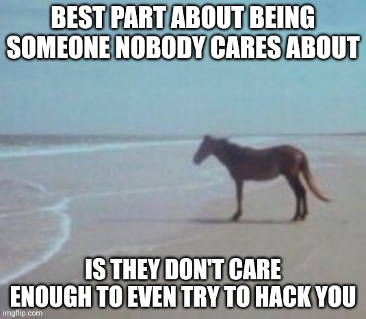 Horse on Beach Man | BEST PART ABOUT BEING SOMEONE NOBODY CARES ABOUT; IS THEY DON'T CARE ENOUGH TO EVEN TRY TO HACK YOU | image tagged in horse on beach man | made w/ Imgflip meme maker
