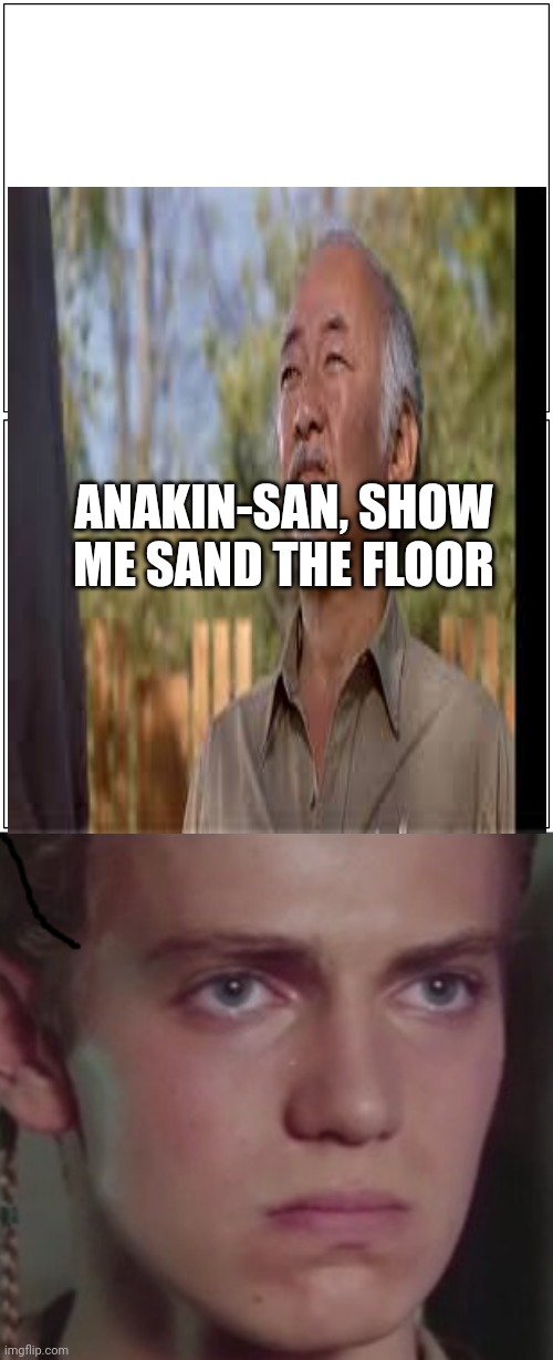 ANAKIN-SAN, SHOW ME SAND THE FLOOR | image tagged in double blank | made w/ Imgflip meme maker