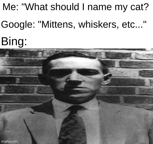 Looking to name mah cat | Me: "What should I name my cat? Google: "Mittens, whiskers, etc..."; Bing: | image tagged in if you know you know | made w/ Imgflip meme maker