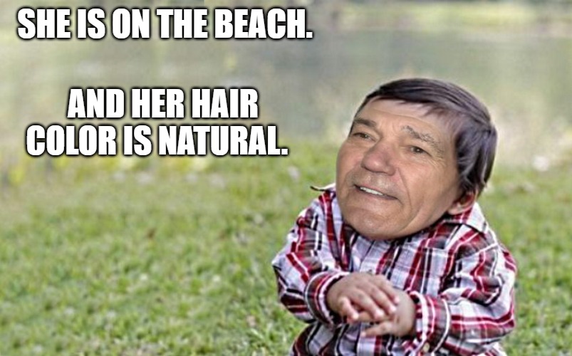 evil-kewlew-toddler | SHE IS ON THE BEACH. AND HER HAIR COLOR IS NATURAL. | image tagged in evil-kewlew-toddler | made w/ Imgflip meme maker