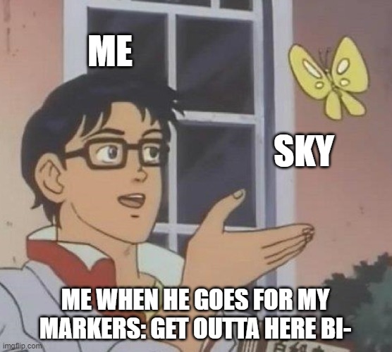Is This A Pigeon | ME; SKY; ME WHEN HE GOES FOR MY MARKERS: GET OUTTA HERE BI- | image tagged in memes,is this a pigeon | made w/ Imgflip meme maker