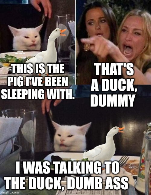 THAT'S A DUCK, DUMMY; THIS IS THE PIG I'VE BEEN SLEEPING WITH. I WAS TALKING TO THE DUCK, DUMB ASS | image tagged in reverse smudge that darn cat,salad cat | made w/ Imgflip meme maker