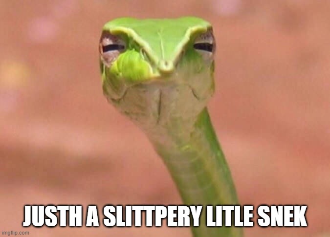 Skeptical snake | JUSTH A SLITTPERY LITLE SNEK | image tagged in skeptical snake | made w/ Imgflip meme maker