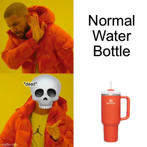 Normal Water Bottle VS Stanley Cup | Normal Water Bottle; *dead* | image tagged in memes,drake hotline bling | made w/ Imgflip meme maker