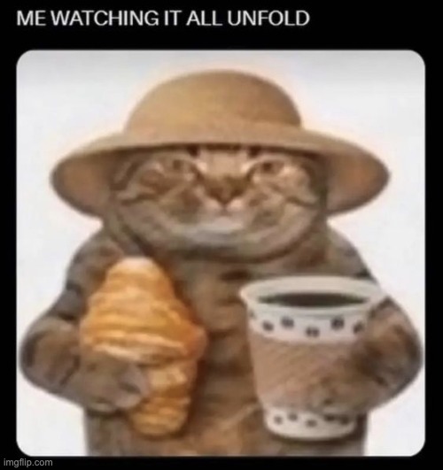 i need to nap but there's this assignment | made w/ Imgflip meme maker
