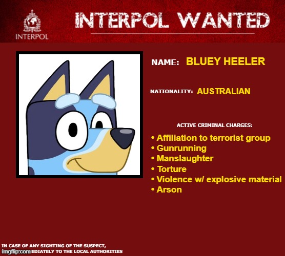 Interpol Wanted Warning | BLUEY HEELER; AUSTRALIAN; • Affiliation to terrorist group
• Gunrunning
• Manslaughter
• Torture
• Violence w/ explosive material
• Arson | image tagged in interpol wanted warning | made w/ Imgflip meme maker