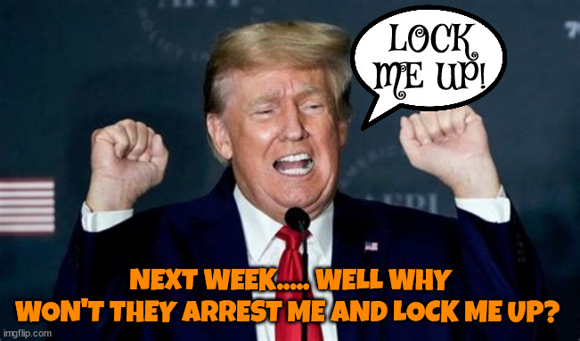 LOCK ME UP...please? | LOCK ME UP! NEXT WEEK..... WELL WHY WON'T THEY ARREST ME AND LOCK ME UP? | image tagged in lock him up,maga mouth,lock me up,unfair leftest judge,death threats,fart | made w/ Imgflip meme maker