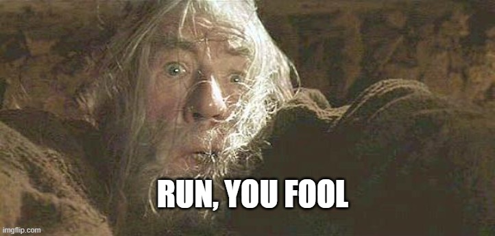 Gandalf Fly You Fools | RUN, YOU FOOL | image tagged in gandalf fly you fools | made w/ Imgflip meme maker