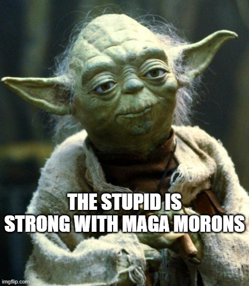 Yoda MAGA Morons | THE STUPID IS STRONG WITH MAGA MORONS | image tagged in memes,star wars yoda | made w/ Imgflip meme maker