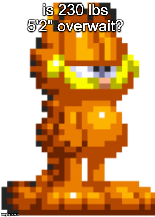 Garfield | is 230 lbs  5'2" overwait? | image tagged in garfield | made w/ Imgflip meme maker