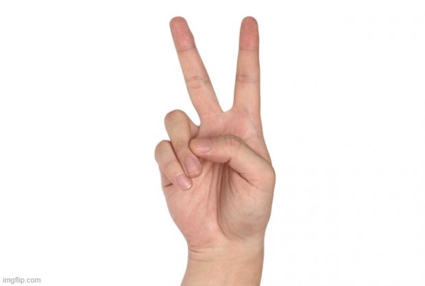 peace sign | image tagged in peace sign | made w/ Imgflip meme maker