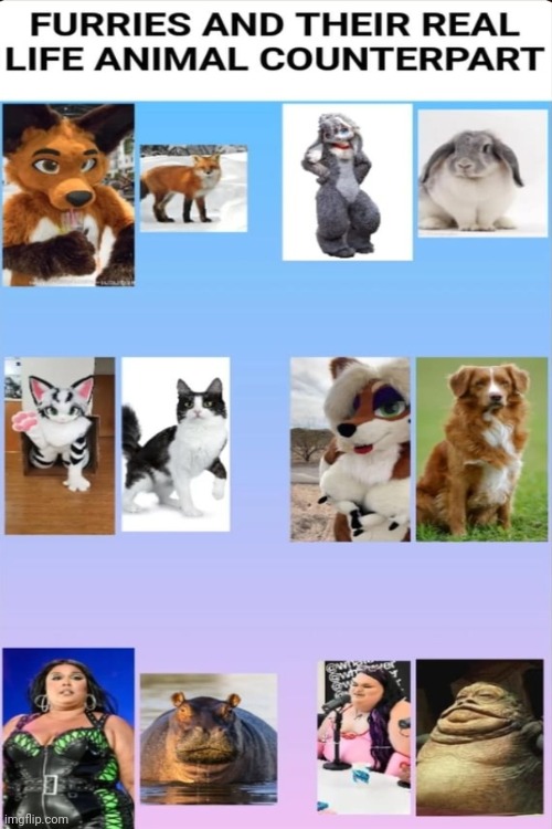 Furries and their counterparts: | image tagged in funny,anti furry,wtf,lol | made w/ Imgflip meme maker