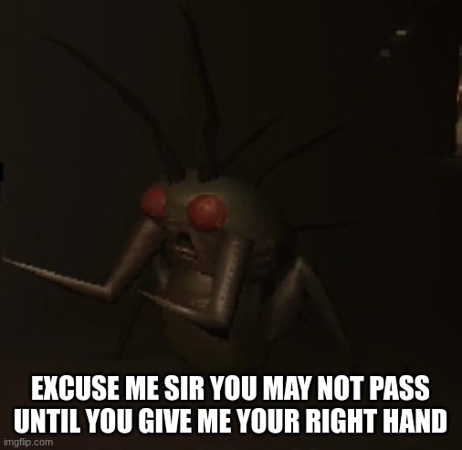 hoarding bug | EXCUSE ME SIR YOU MAY NOT PASS UNTIL YOU GIVE ME YOUR RIGHT HAND | image tagged in hoarding bug | made w/ Imgflip meme maker
