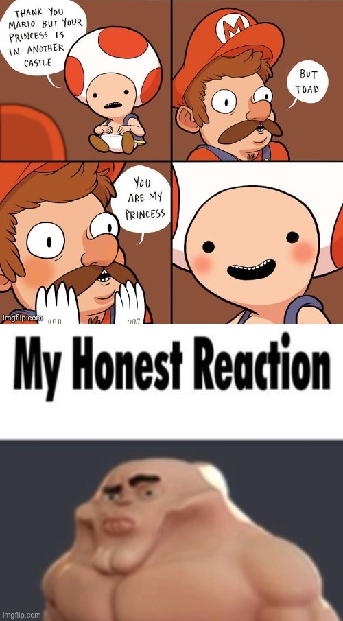 image tagged in my honest reaction | made w/ Imgflip meme maker