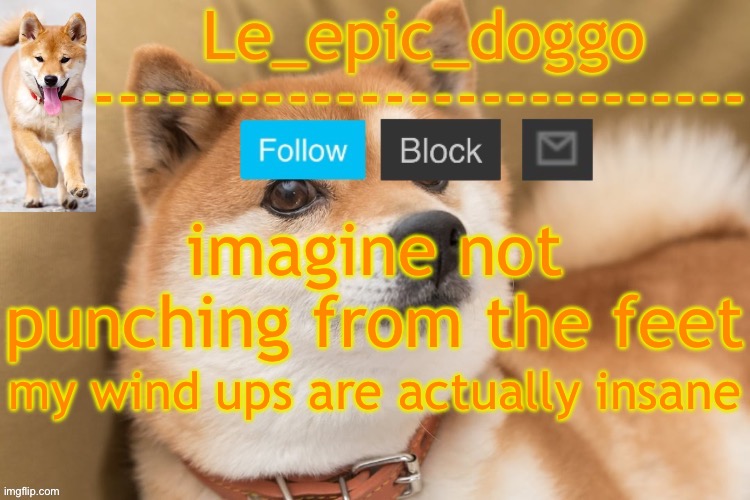 epic doggo's temp back in old fashion | imagine not punching from the feet; my wind ups are actually insane | image tagged in epic doggo's temp back in old fashion | made w/ Imgflip meme maker