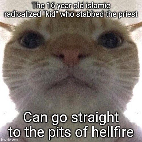should've murdered someone else | The 16 year old islamic radicalized "kid" who stabbed the priest; Can go straight to the pits of hellfire | image tagged in staring cat/gusic | made w/ Imgflip meme maker
