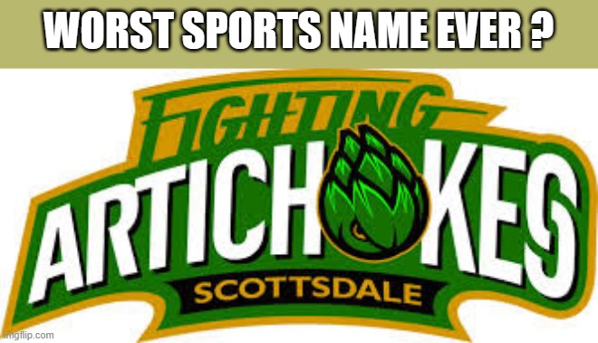 memes by Brad The worst team name ever ? | WORST SPORTS NAME EVER ? | image tagged in sports,funny,funny meme,funny names,baseball,humor | made w/ Imgflip meme maker