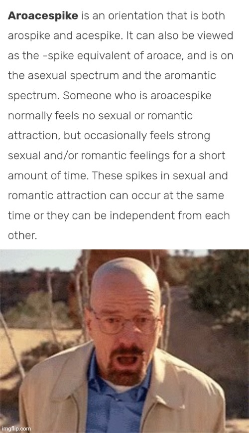 took a very obscure gae test and got aroacespike | image tagged in walter white | made w/ Imgflip meme maker